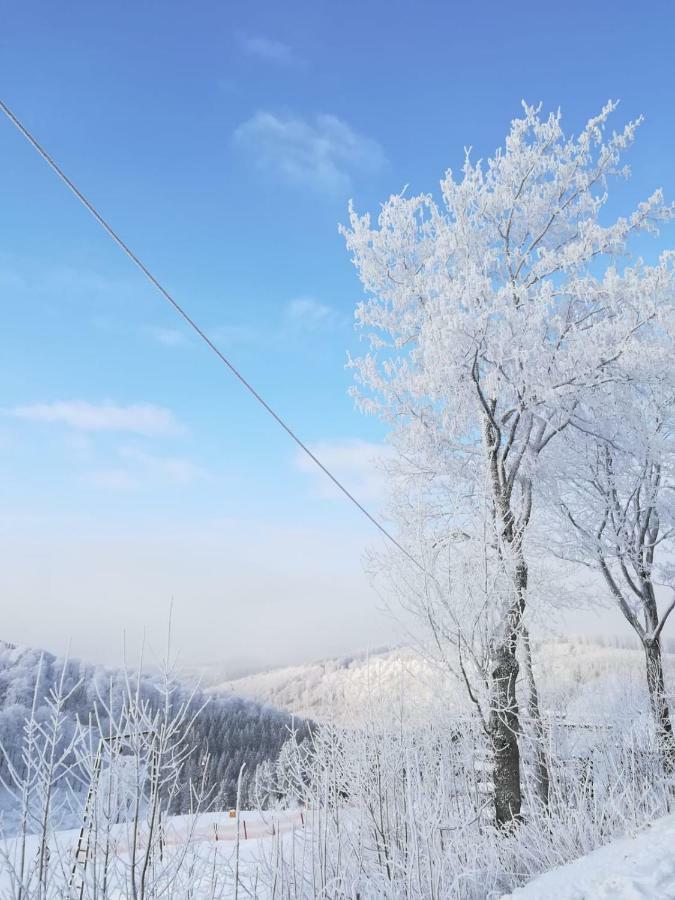 温特贝格Haus Schneider公寓 外观 照片